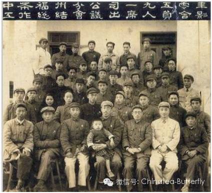 中茶福建公司简介