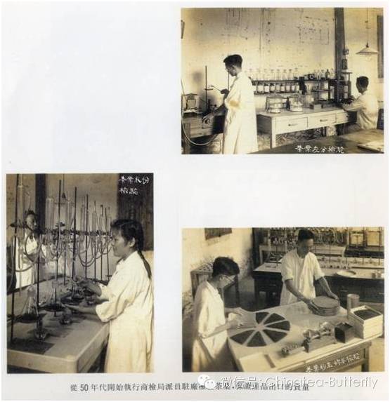 中茶福建公司简介